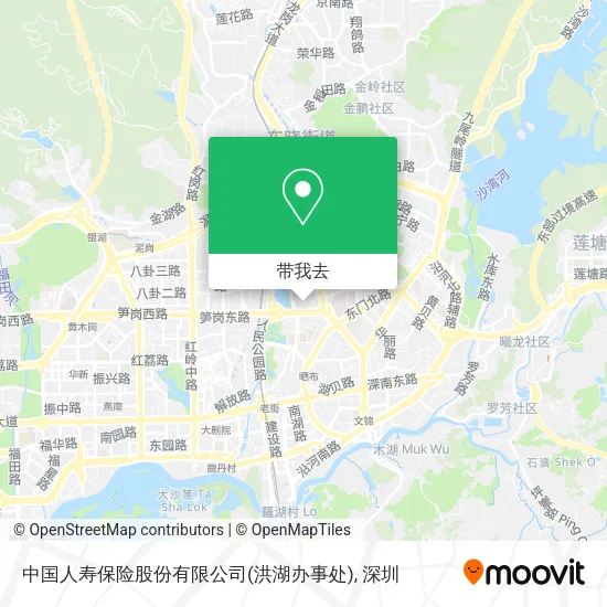 中国人寿保险股份有限公司(洪湖办事处)地图