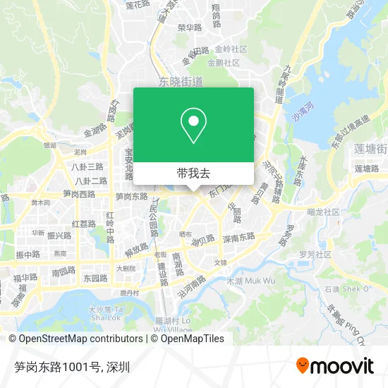 笋岗东路1001号地图