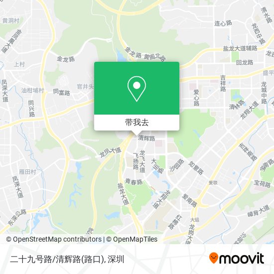 二十九号路/清辉路(路口)地图