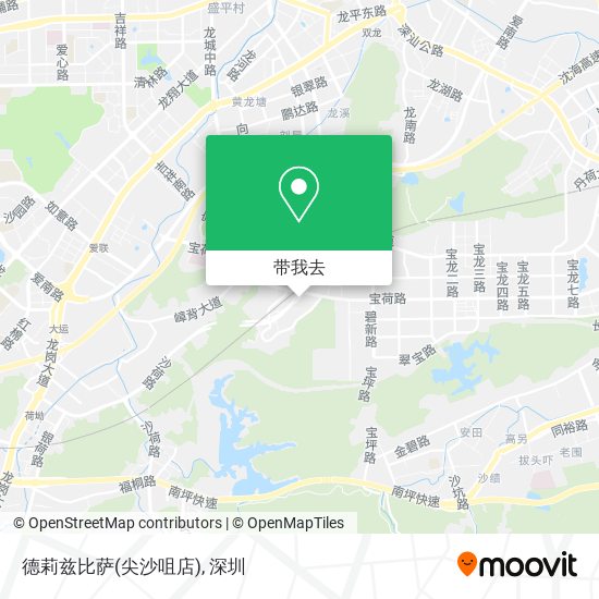 德莉兹比萨(尖沙咀店)地图