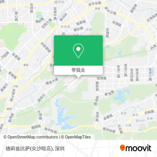 德莉兹比萨(尖沙咀店)地图