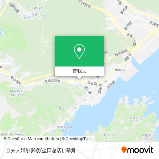 金夫人婚纱影楼(盐田总店)地图