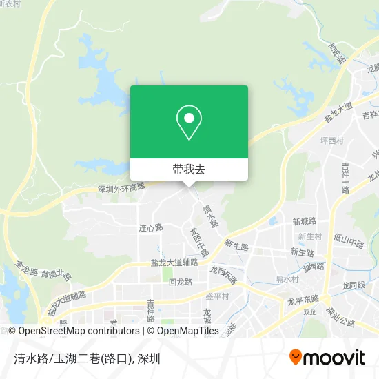 清水路/玉湖二巷(路口)地图