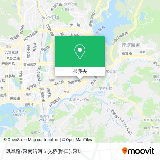 凤凰路/深南沿河立交桥(路口)地图