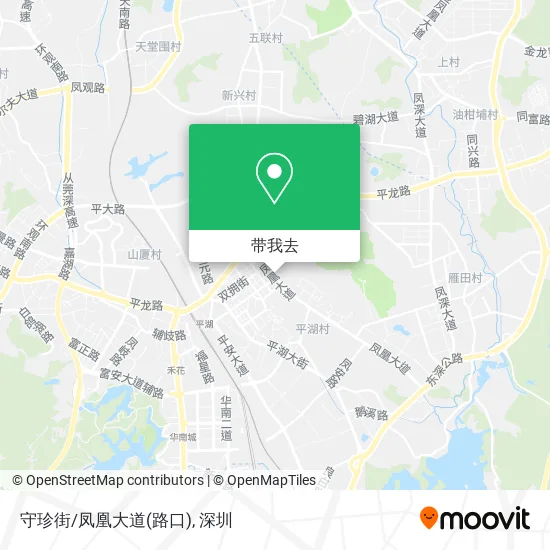 守珍街/凤凰大道(路口)地图