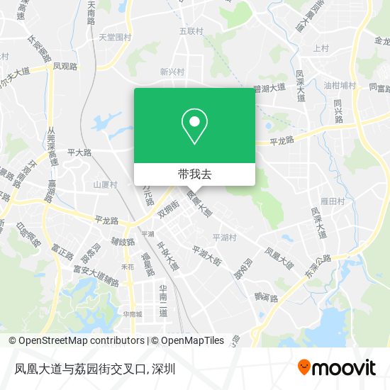 凤凰大道与荔园街交叉口地图