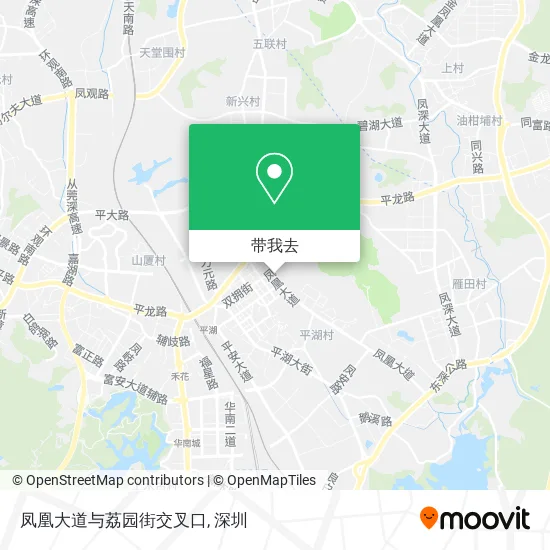 凤凰大道与荔园街交叉口地图