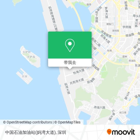 中国石油加油站(妈湾大道)地图