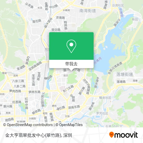 金大亨翡翠批发中心(翠竹路)地图