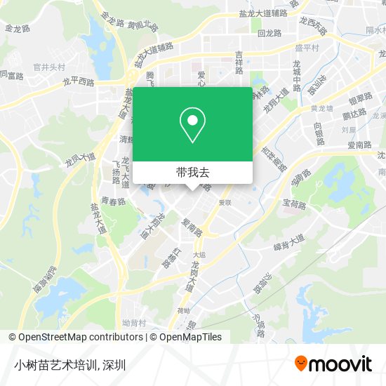 小树苗艺术培训地图