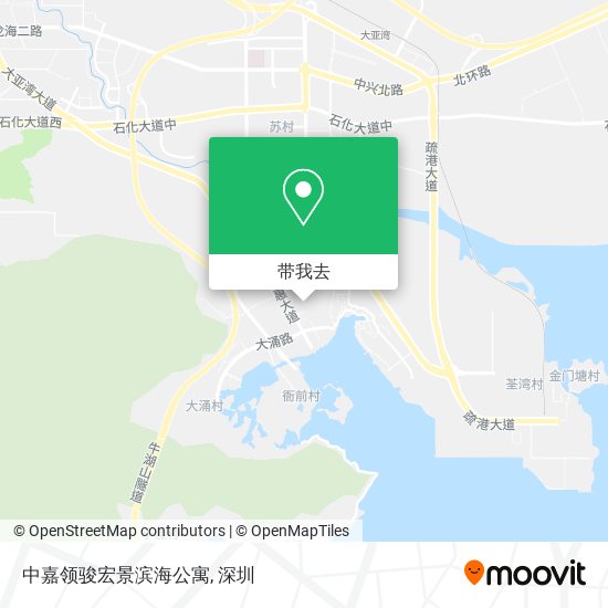 中嘉领骏宏景滨海公寓地图