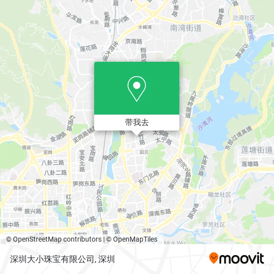 深圳大小珠宝有限公司地图