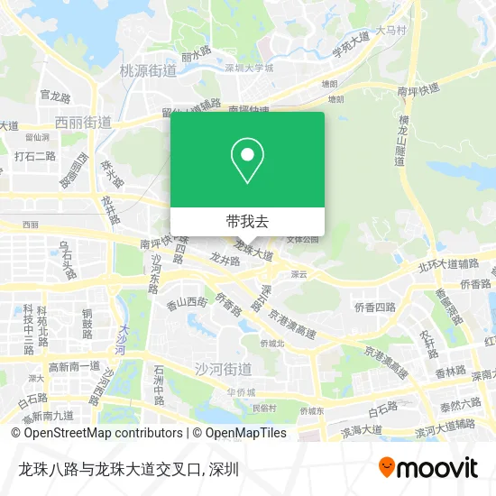 龙珠八路与龙珠大道交叉口地图