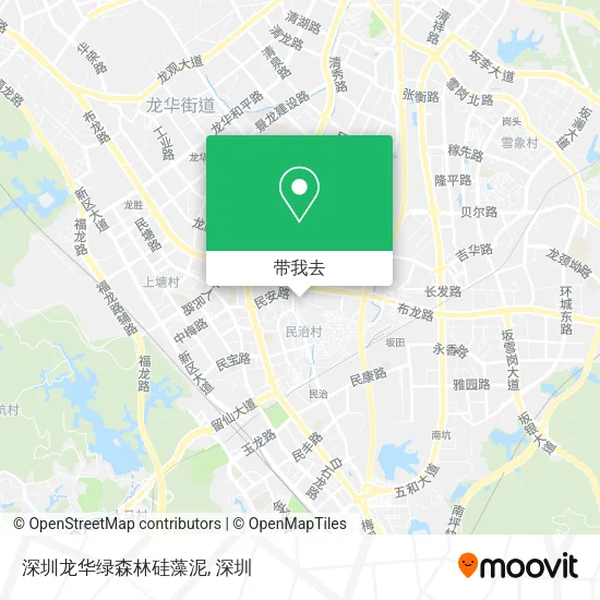 深圳龙华绿森林硅藻泥地图