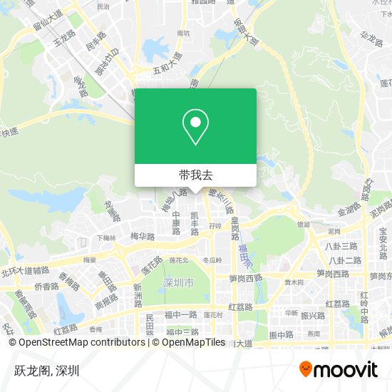跃龙阁地图