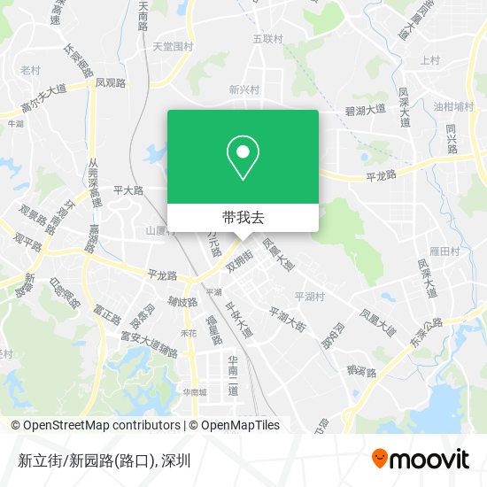 新立街/新园路(路口)地图