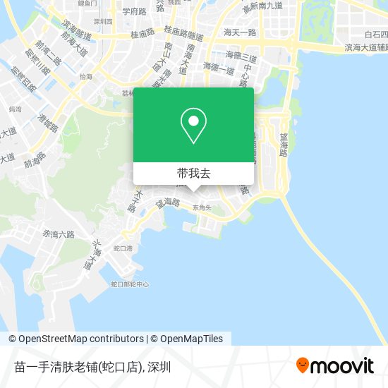 苗一手清肤老铺(蛇口店)地图