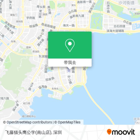 飞藤猫头鹰公学(南山店)地图