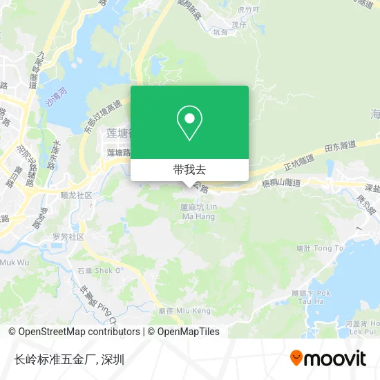 长岭标准五金厂地图