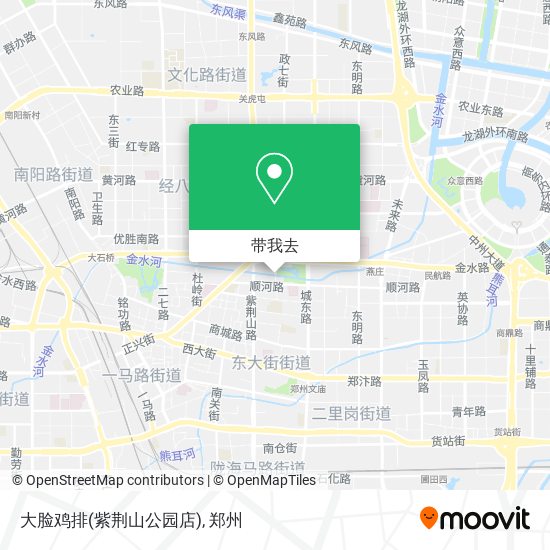 大脸鸡排(紫荆山公园店)地图