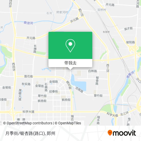 月季街/银杏路(路口)地图