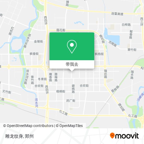 雕龙纹身地图