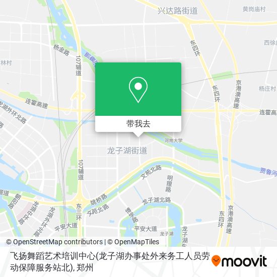 飞扬舞蹈艺术培训中心(龙子湖办事处外来务工人员劳动保障服务站北)地图