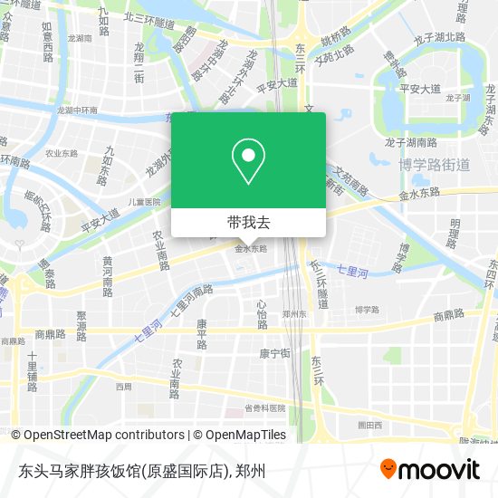 东头马家胖孩饭馆(原盛国际店)地图