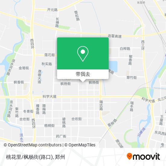 桃花里/枫杨街(路口)地图