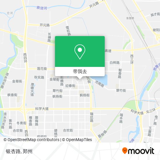 银杏路地图
