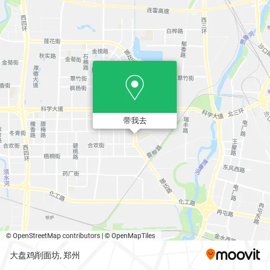 大盘鸡削面坊地图