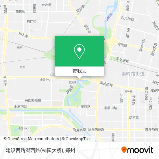 建设西路湖西路(柿园大桥)地图