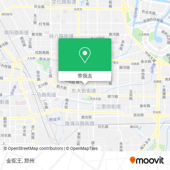 金驼王地图