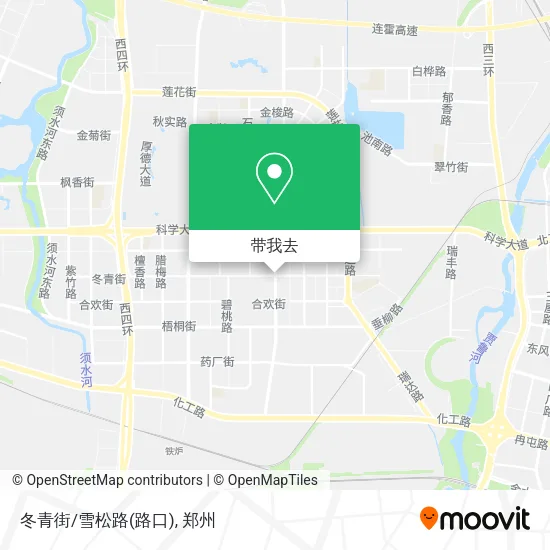 冬青街/雪松路(路口)地图