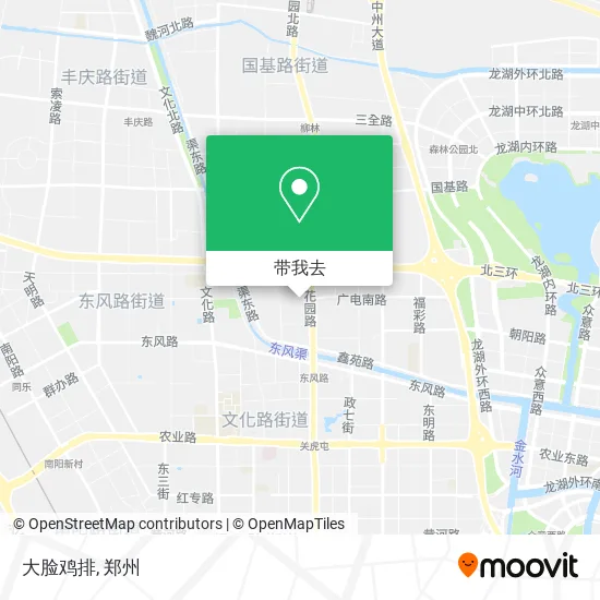 大脸鸡排地图