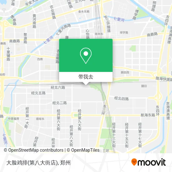大脸鸡排(第八大街店)地图