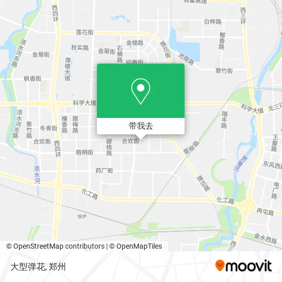 大型弹花地图