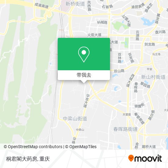 桐君閣大药房地图