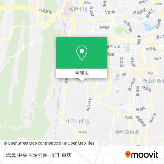斌鑫·中央国际公园-西门地图
