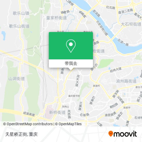天星桥正街地图