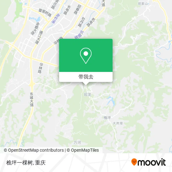 樵坪一棵树地图