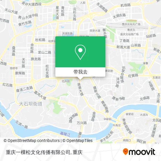 重庆一棵松文化传播有限公司地图
