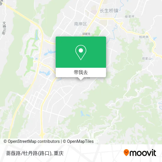 蔷薇路/牡丹路(路口)地图