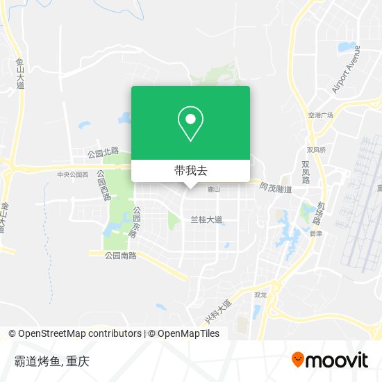 霸道烤鱼地图