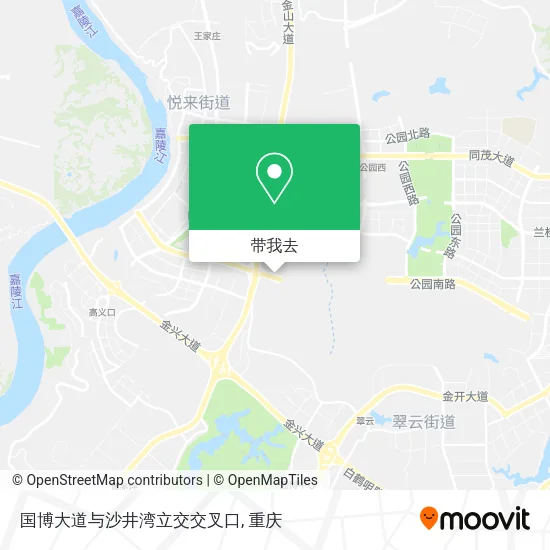 国博大道与沙井湾立交交叉口地图