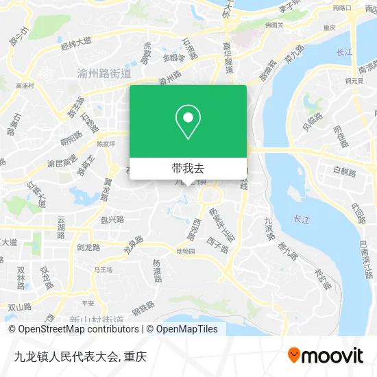 九龙镇人民代表大会地图