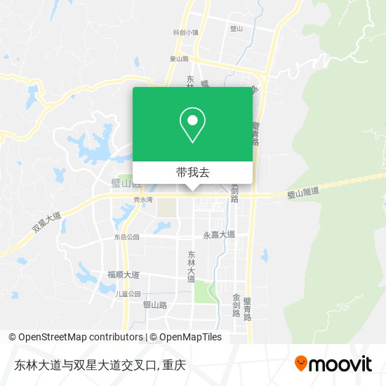 东林大道与双星大道交叉口地图