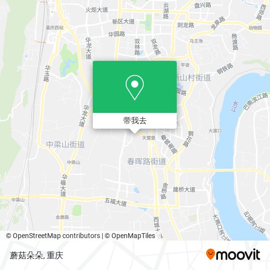 蘑菇朵朵地图