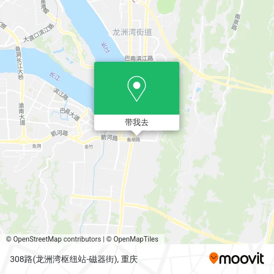 308路(龙洲湾枢纽站-磁器街)地图