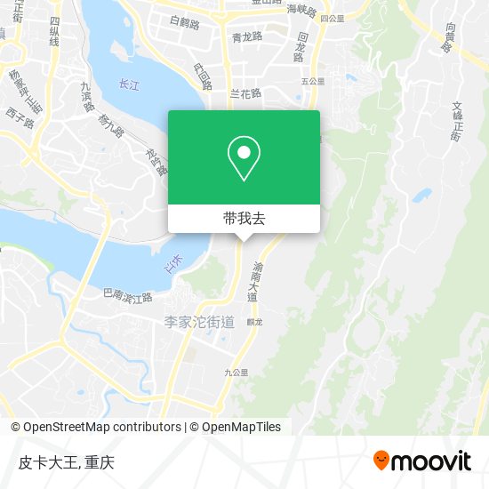 皮卡大王地图